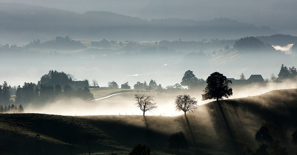 Nebel im Tal © unsplash.com