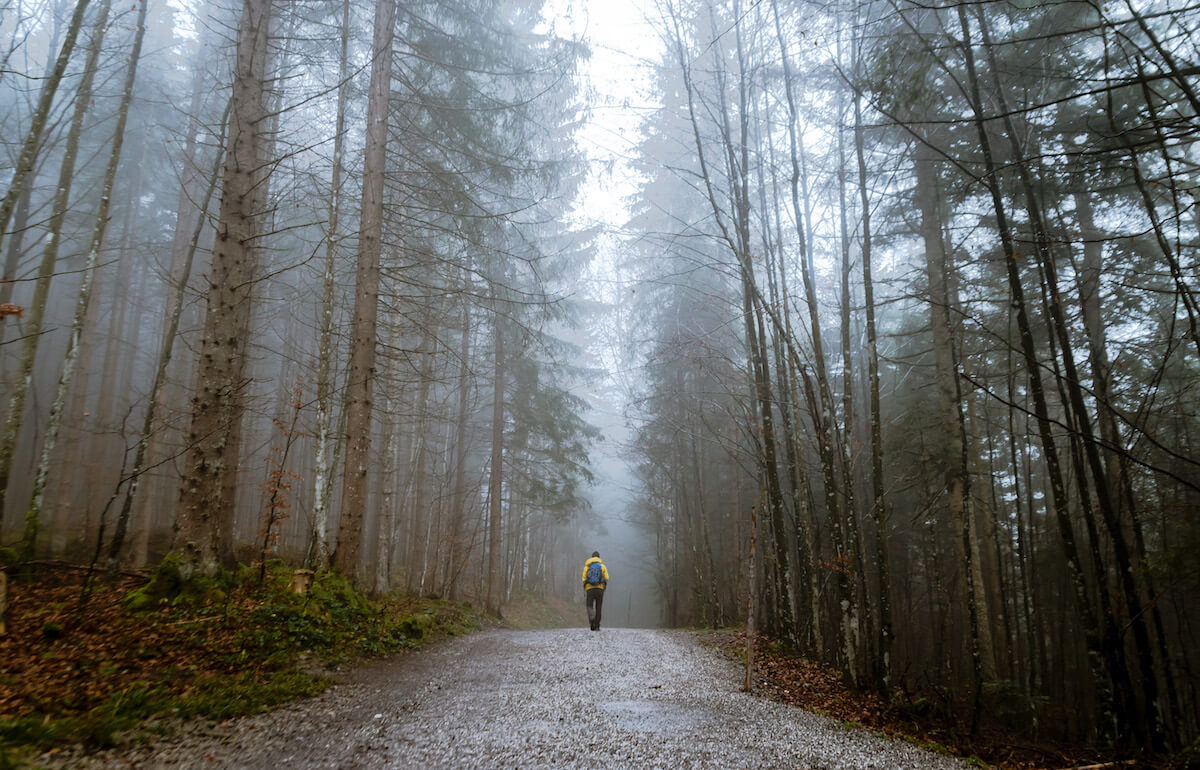 Mann im Wald ©pexels.com - https://www.pexels.com/photo/alone-autumn-mood-forest-cold-countryside-397096/