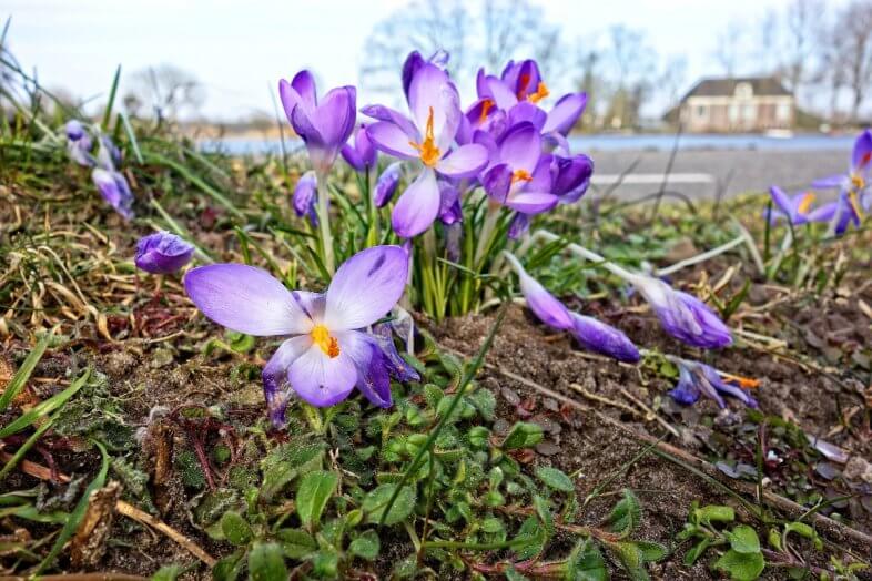 Hochdruckwetter auch in der neuen Woche