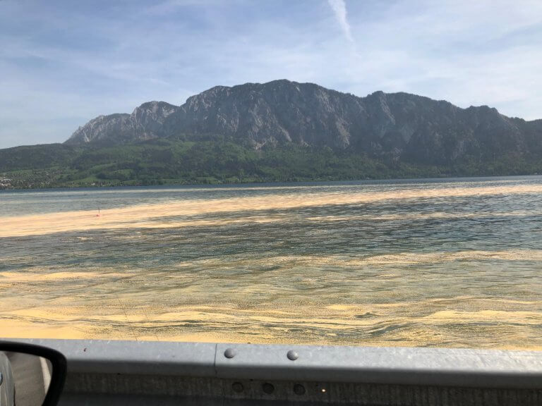 Fichtenpollen färben Attersee gelb