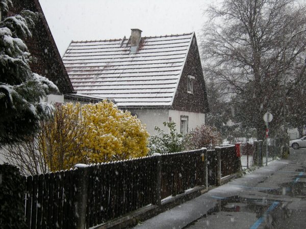 Schnee im April: Alltag oder Seltenheit?