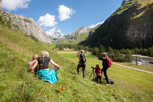 Wildtierbeobachtung im Nationalpark in Kals am Großglockner, (c) Martin Lugger, Nationalpark Hohe Tauern