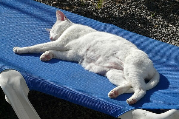 Am Donnerstag Sonne und Hitze