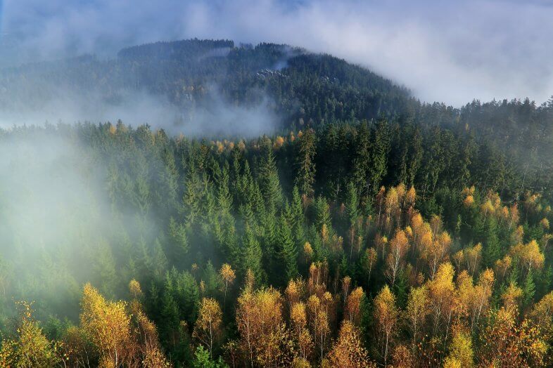 Am Dienstag Sonne-Wolken-Nebel-Mix