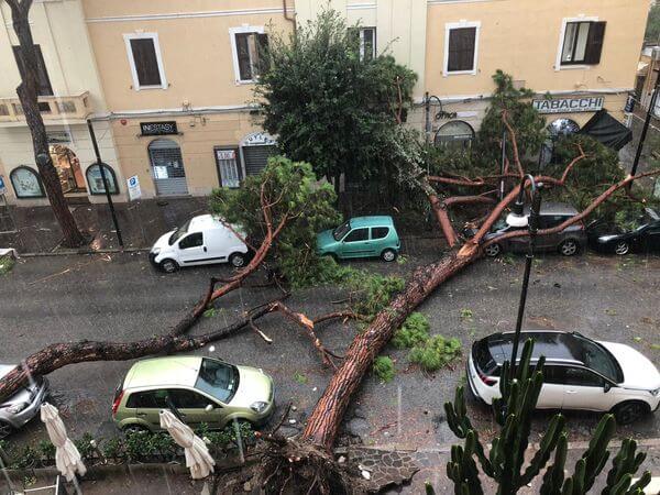 Umgestürzte Bäume in Terracina südlich von Rom
