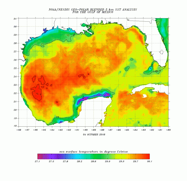 Wassertemperatur im Golf von Mexiko