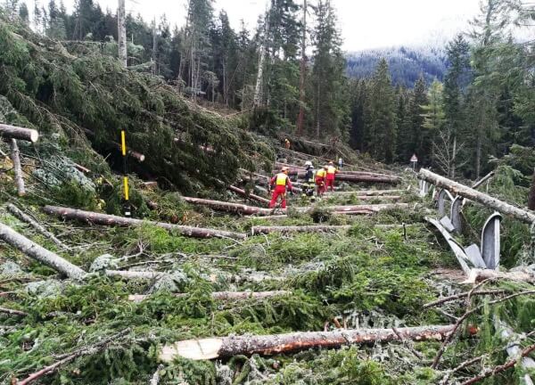 Böen bis 200 km/h: Extreme Schäden durch Sturm VAIA in den Alpen