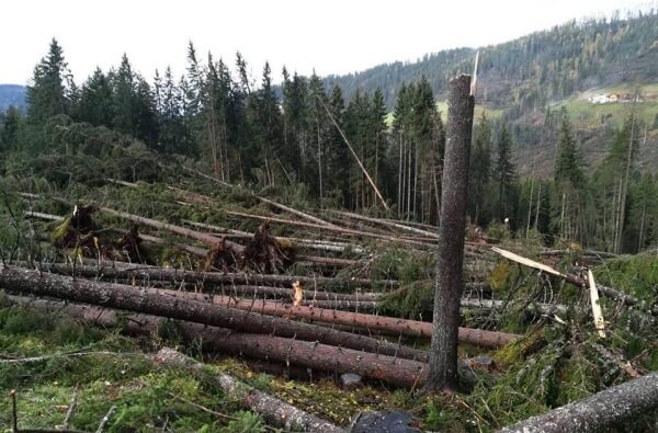 Tief VAIA hinterlässt Windwurf und schwere Schäden im Alpenraum