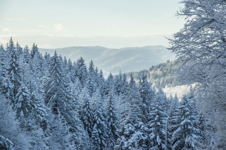 Am Freitag zunächst etwas Schnee