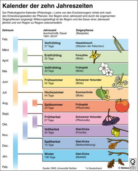 Der phänologische Kalender