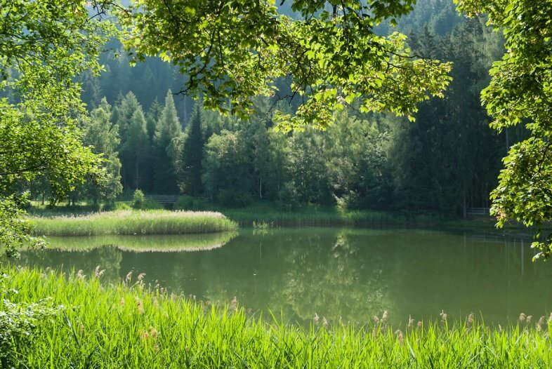 Am Freitag meist sonnig und warm