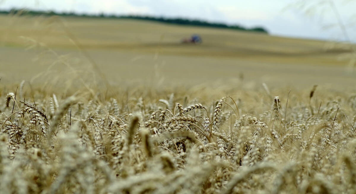Am Donnerstag sommerlich warm, gebietsweise gewittrig