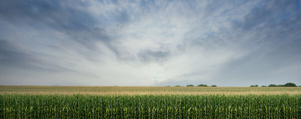 Am Samstag Wolken und Sonne im Wechsel