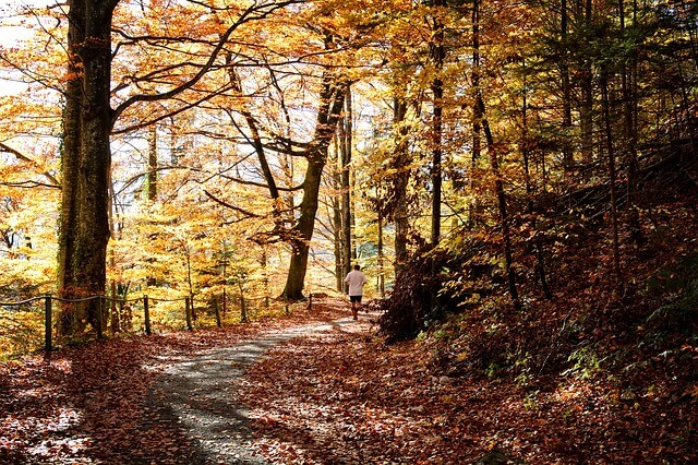 Fit und gesund durch den Herbst