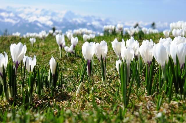 Frühlingswetter im Bergland - pixabay.com/RolPet