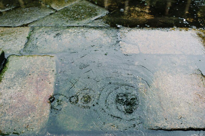 Am Freitag im Norden nasskalt