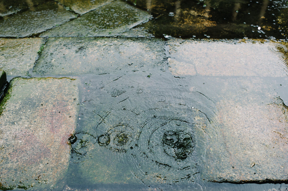 Am Freitag im Norden nasskalt