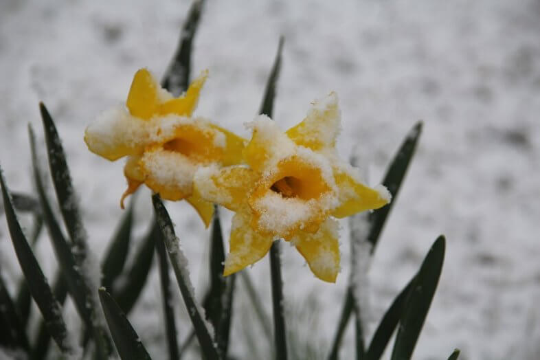 Am Samstag Regen und Schneefall