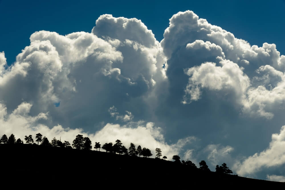 Quellwolken die zu Gewittern heranwachsen - Adobe Stock