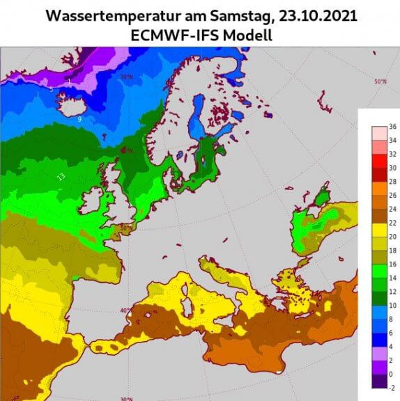 Temperatur des Meereswasser [°C] am 23.10.2021 - ECMWF