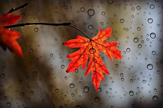 Herbstlicher Regen - www.pixabay.com