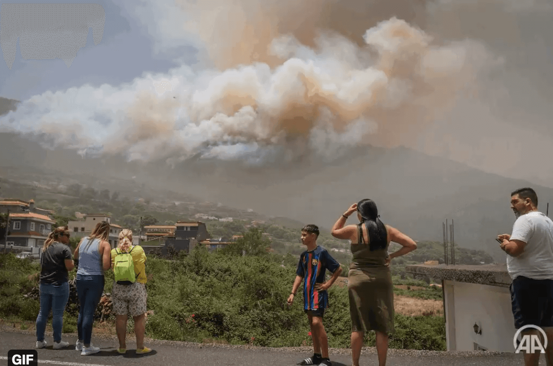 Waldbrände durch große Trockenheit