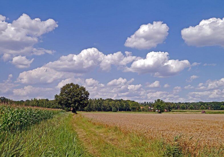 Zum Wochenbeginn meist sonnig und schrittweise wärmer