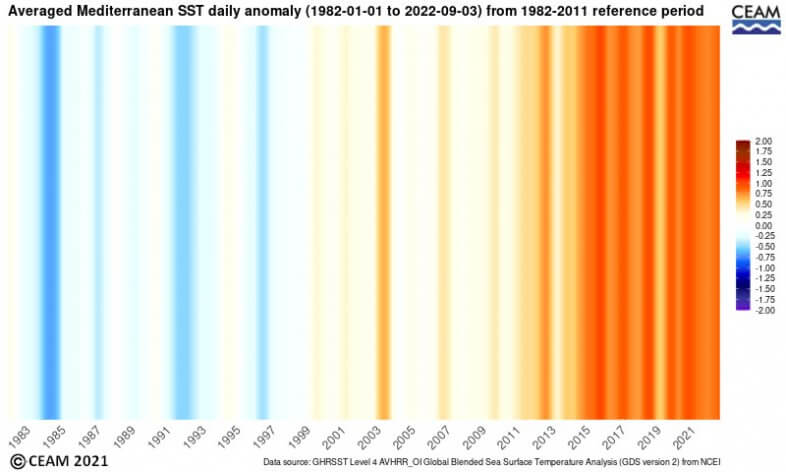Tägliche Anomalie der Wasseroberflächetemperatur des Mittelmeeres von 1982 bis 2022 - CEAM http://www.ceam.es/ceamet/SST/index.html