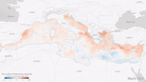 Animation der Anomalie der Wassertemperatur am Mittelmeer von März bis August 2022 mit der sich verstärkenden, maritimen Hitzewelle - ESA https://www.esa.int/Applications/Observing_the_Earth/Mediterranean_Sea_hit_by_marine_heatwave
