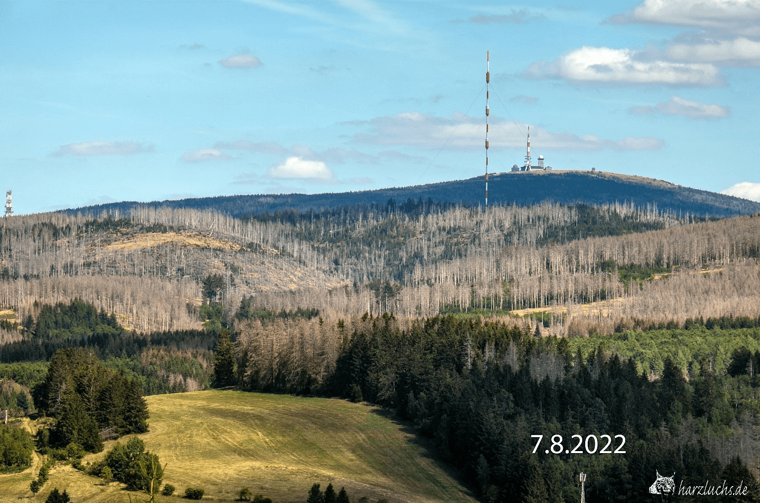 Der Harz als Opfer des Klimawandels