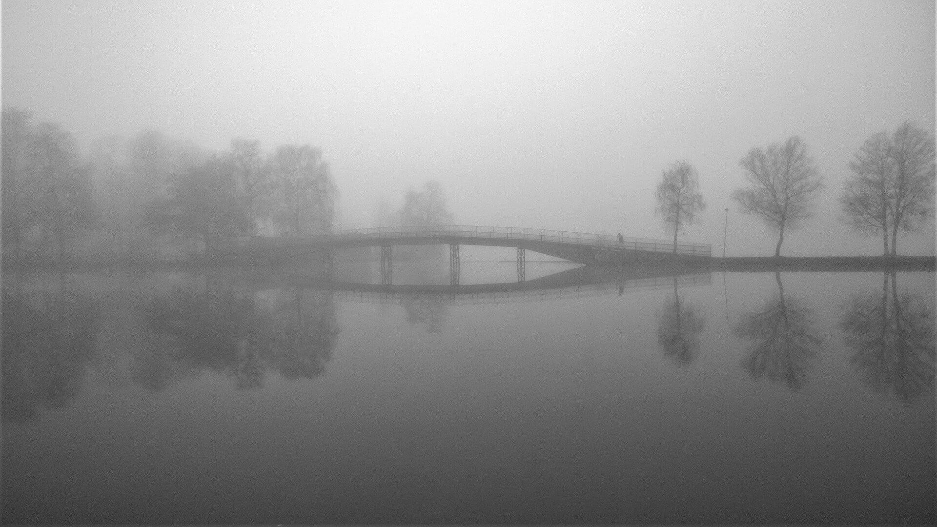 Dichter Nebel, Quelle: pixabay.com