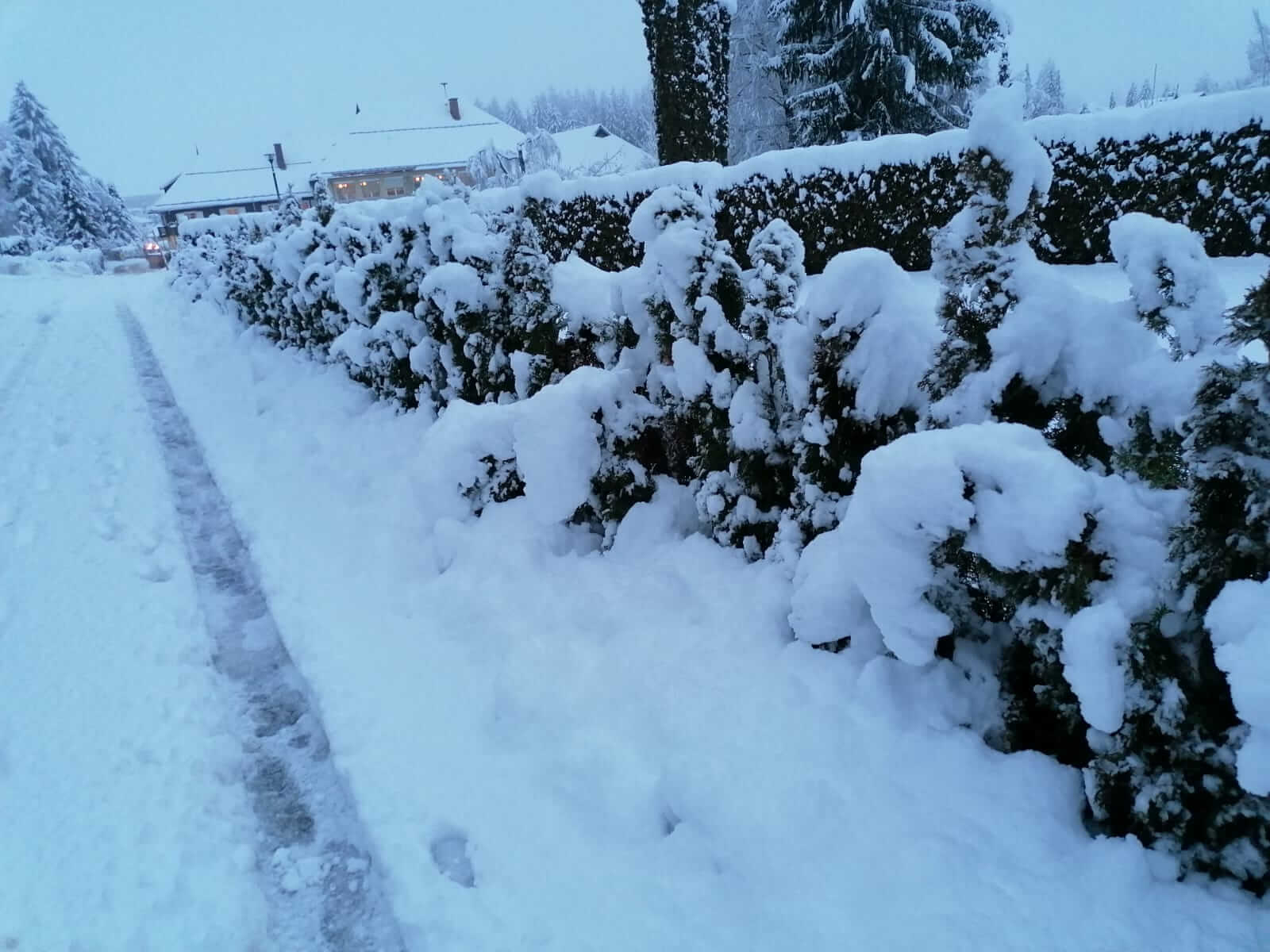 Foto vom Klopeinersee, wo am Montagmorgen 25 cm Neuschnee lagen @ Storm Science Austria