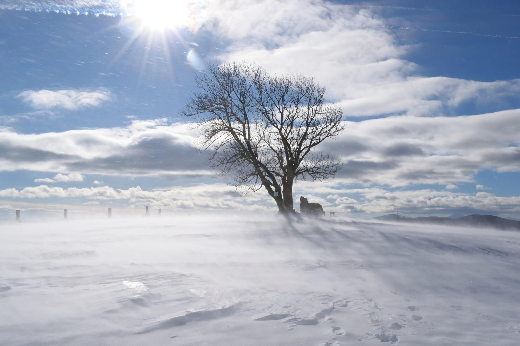 Sturm und Schneetreiben im Wienerwald. © N. Zimmermann