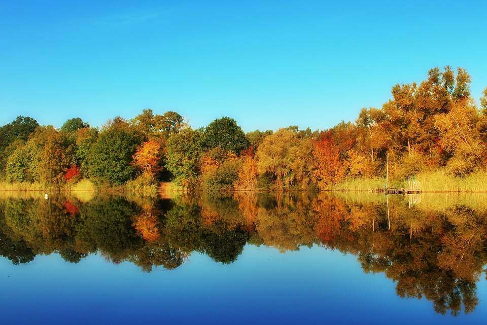 Herrliche herbstliche Laubverfärbung am Ufer eines Sees; Quelle: pixabay