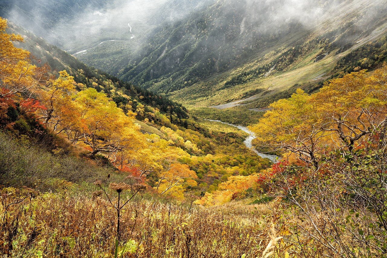 Farbenprächtiger Herbst - pixabay.com