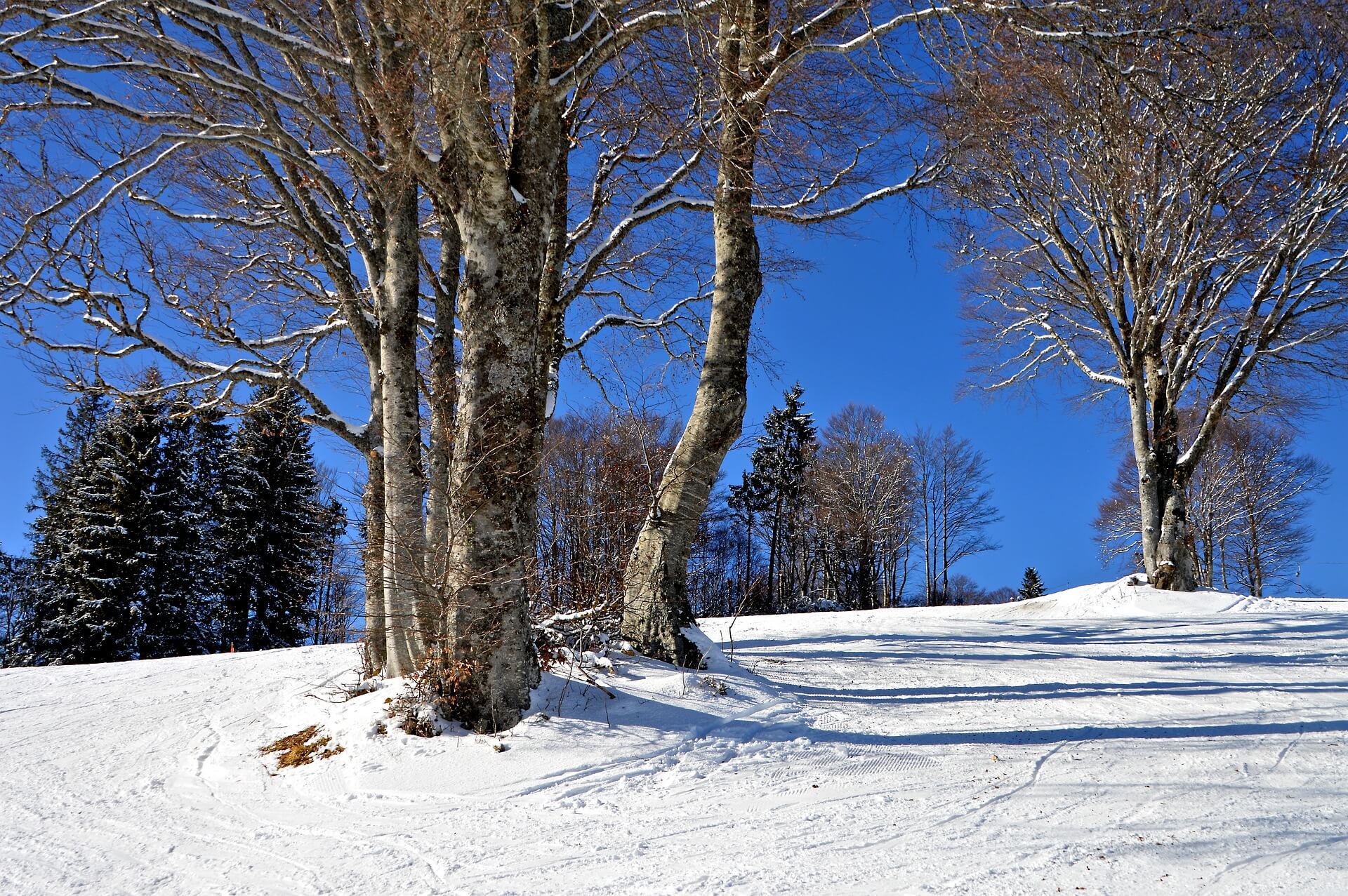 Winterlandschaft - pixabay.com