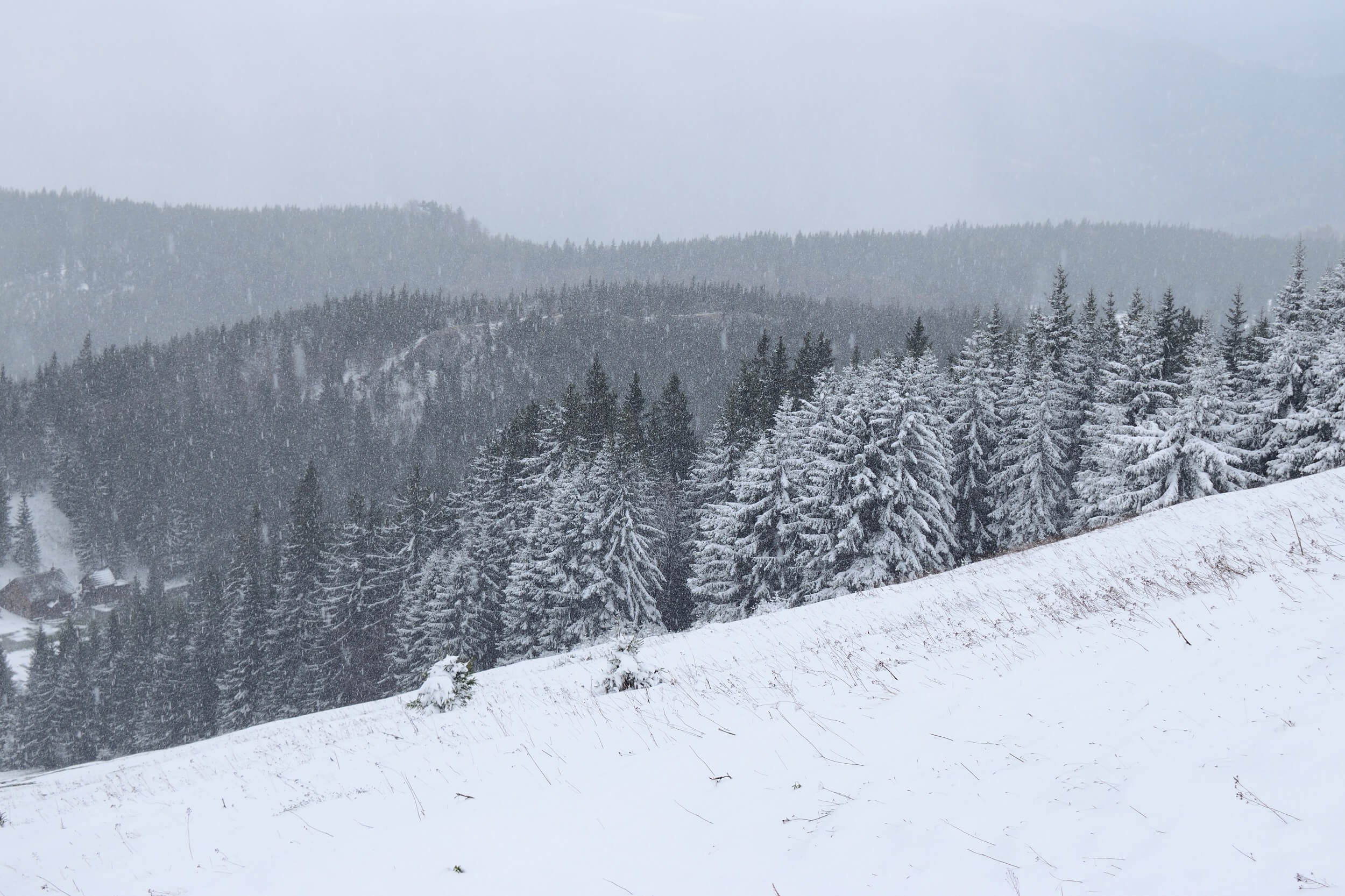 Schneefall im Bergland. © N. Zimmermann