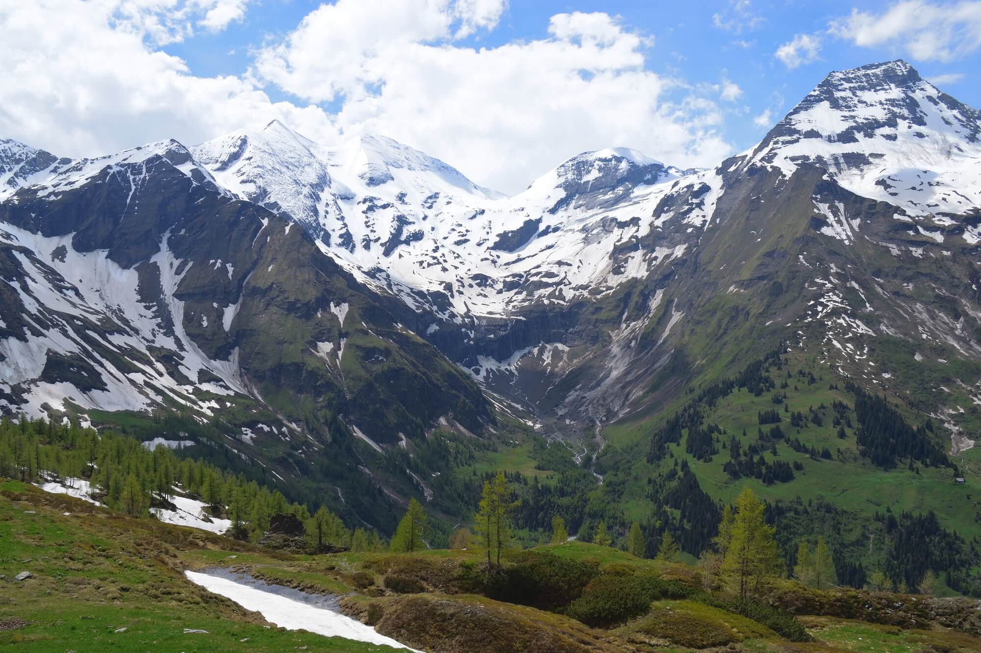 Frühjahr in den Alpen. Nikolas Zimmermann