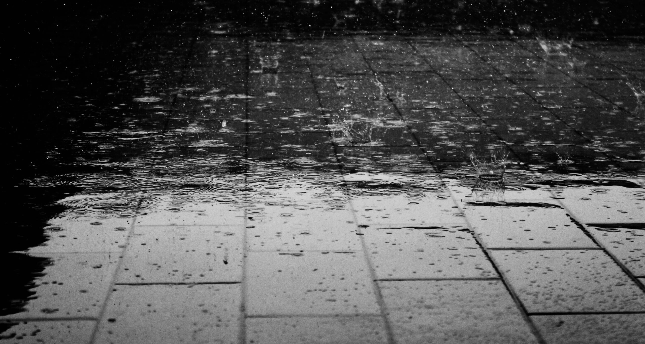 Regen - pexels.com