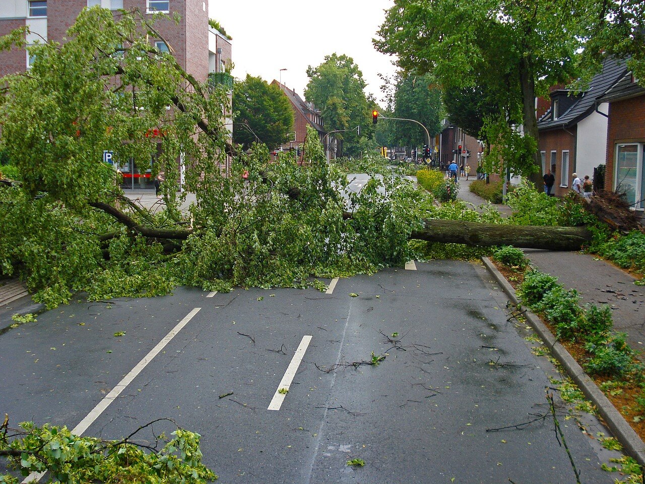 Ein umgestürzter Baum nach einem Sturm.  Bild: Jan Mallander via Pixabay.com