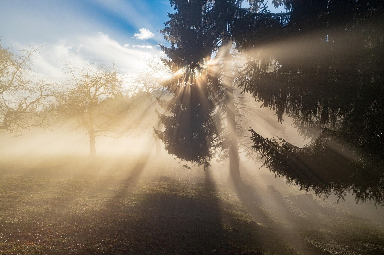 Herbstliche Stimmung im Wald mit Nebel und Sonne - pixabay.com