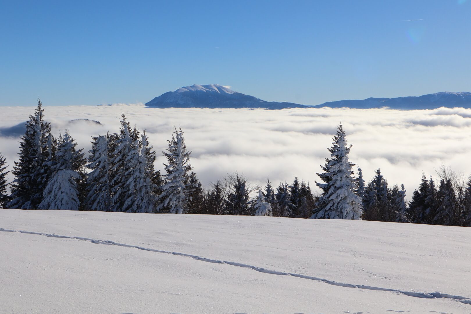 Der Schneeberg im Dezember 2024. © N. Zimmermann