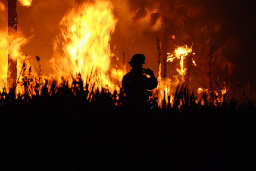 LA-Palisades-Fire 2025 - source: US Fish and Wildlife Service