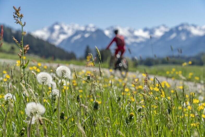 Am Freitag sonnig und sommerlich warm