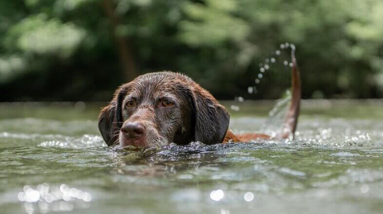 Am Freitag Badewetter