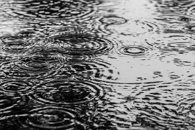 Am Samstag verbreitet Regen