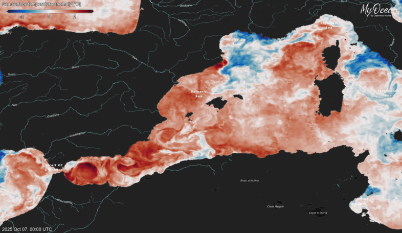 Aktuelle Anomalie der Wassertemperatur im westlichen Mittelmeer - Copernicus MyOcean