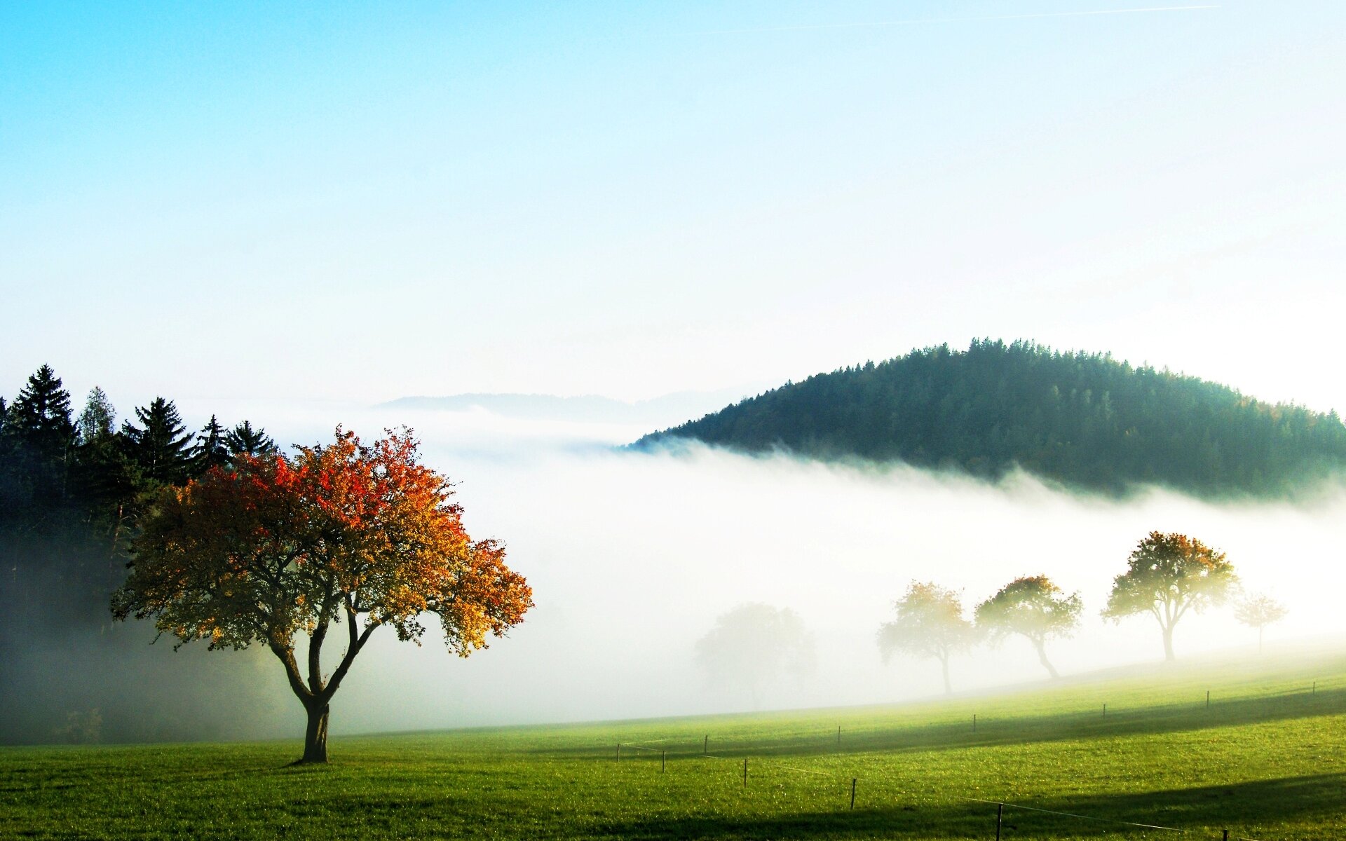 Nebel im Herbst
