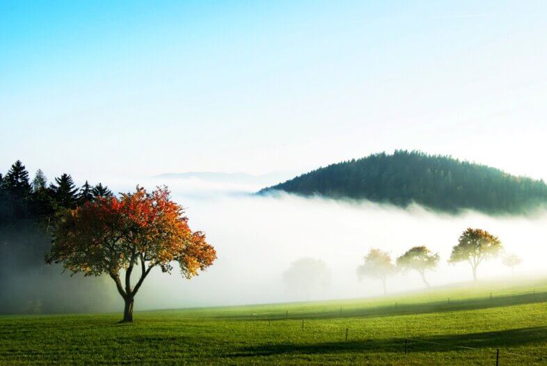 Am Sonntag von Osten her zunehmend freundlich