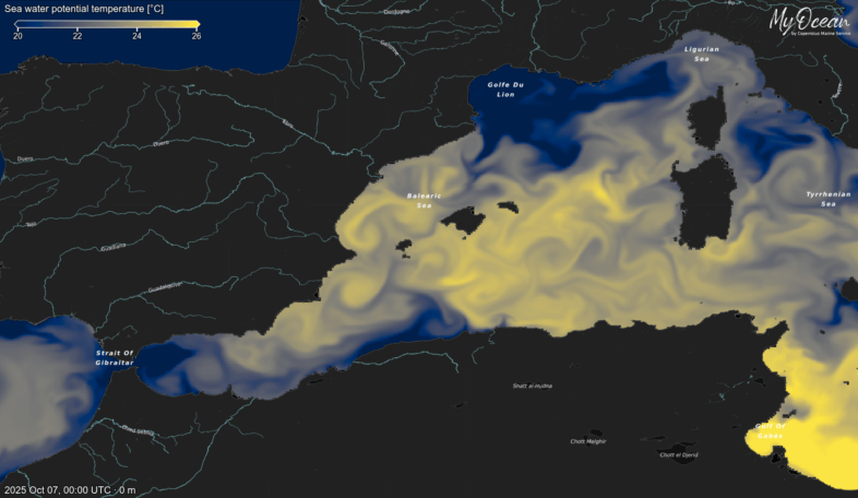 Aktuelle Wassertemperatur im westlichen Mittelmeer - Copernicus MyOcean